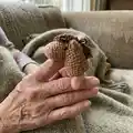 Farm Finger Puppet Amigurumi Pattern step 2 - assembly progress