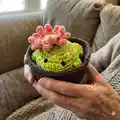 Cactus frog with removeable pot Amigurumi Pattern step 4 - final assembly and finishing