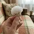 Baby Dandelion Amigurumi Pattern step 2 - assembly progress