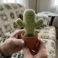 Desert Crochet Cactus Amigurumi Pattern step 4 - final assembly and finishing