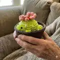 Cactus frog with removeable pot Amigurumi Pattern step 2 - assembly progress