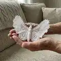 Butterfly Pattern step 3 - details and accessories