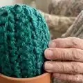 Cactus Amigurumi Pattern step 2 - assembly progress