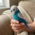 Budgerigar Amigurumi Pattern step 1 - construction progress