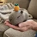 Capybara Amigurumi Pattern step 1 - construction progress