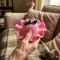 Fruits Hat Pet Pattern step 4 - final assembly and finishing