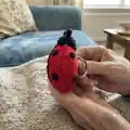 Ladybug Keychains Amigurumi Pattern step 2 - assembly progress
