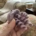 Ragdoll Pocket Jellyfish Amigurumi Pattern step 3 - details and accessories