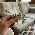 Fern Plant Car Pattern step 2 - assembly progress