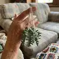Fern Plant Car Pattern step 1 - construction progress