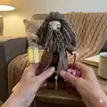 Giant-Forester Amigurumi Pattern step 4 - final assembly and finishing