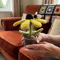 Bumble Blossom Black Eyed Susan Amigurumi Pattern step 4 - final assembly and finishing