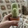 Desert Crochet Cactus Amigurumi Pattern step 3 - details and accessories