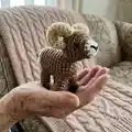 Bobby the Bighorn Sheep Amigurumi Pattern step 1 - construction progress