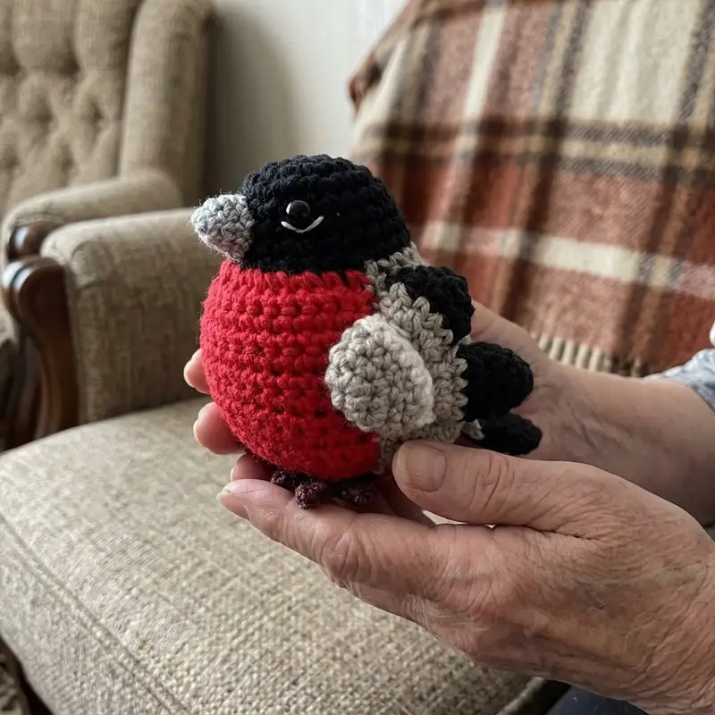 Complimentary Intermediate crochet pattern: Bullfinch Amigurumi Pattern - Simple to follow guide