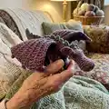 Fierce Little Dragon Amigurumi Pattern step 3 - details and accessories