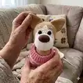 Puppy Corgi Amigurumi Pattern step 4 - final assembly and finishing