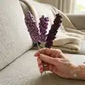 Lavender Plant Pattern step 1 - construction progress
