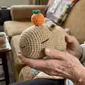 Capybara Amigurumi Pattern step 4 - final assembly and finishing